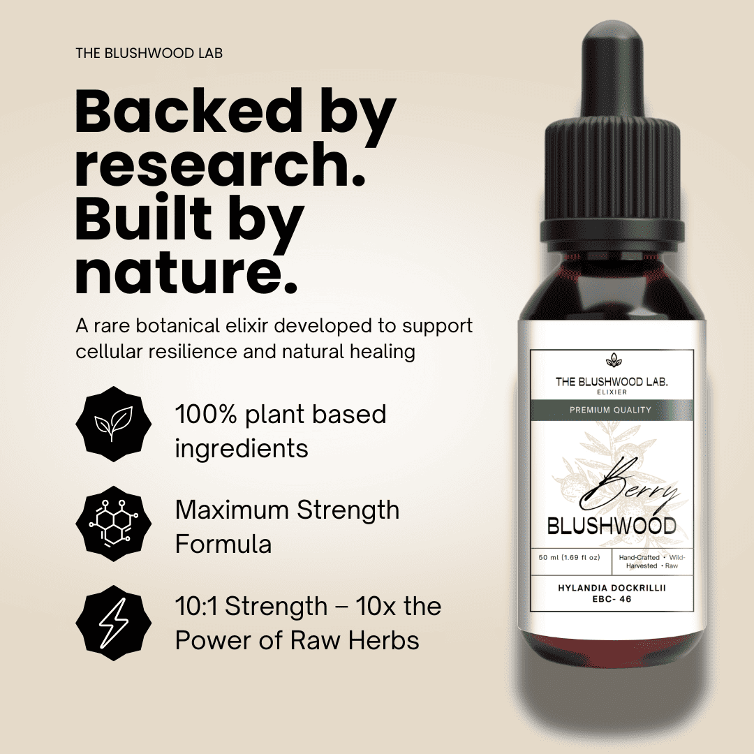 Blushwood Berry Seed Extract - EBC 46 - 2er Pack