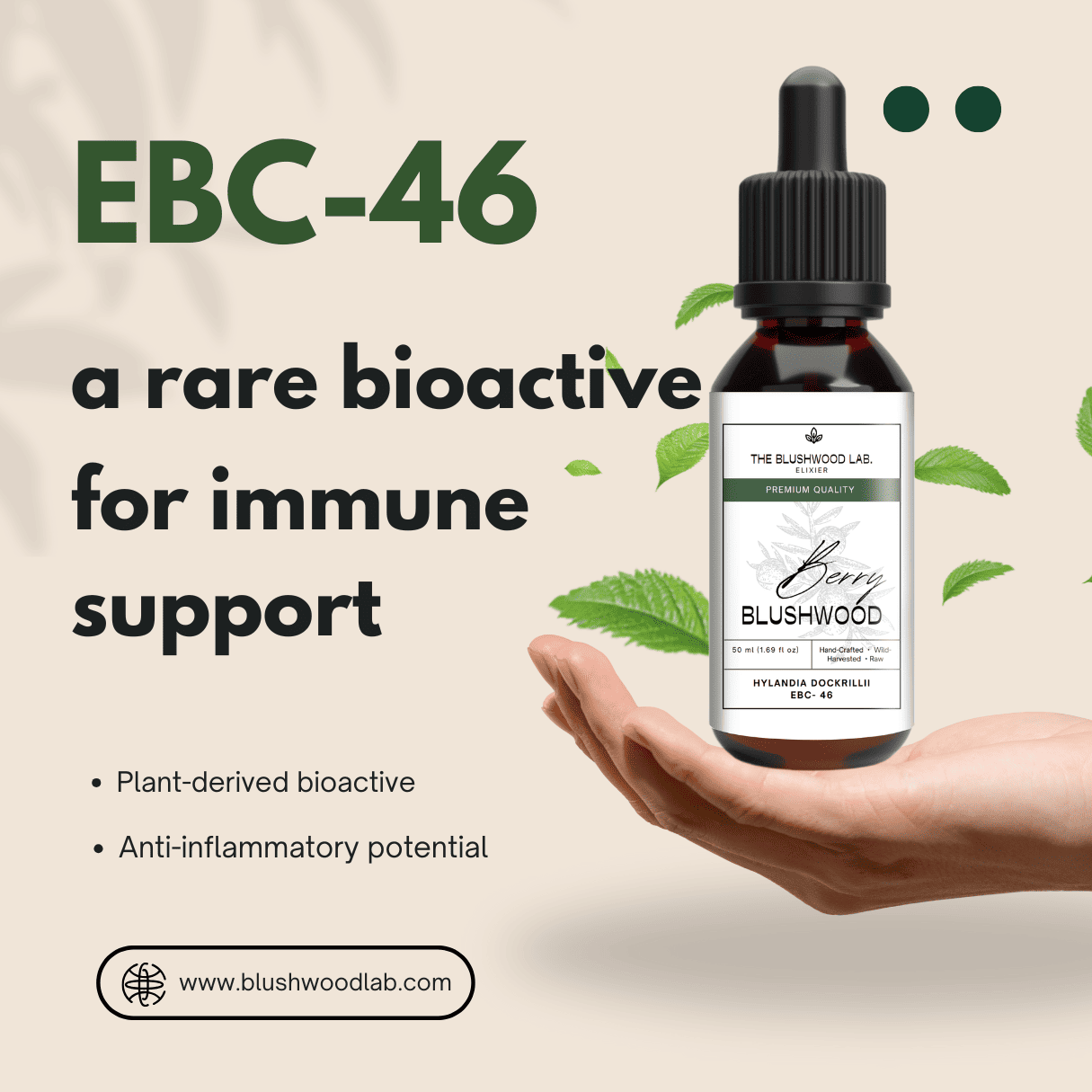 Blushwood Berry Seed Extract - EBC 46 - 2er Pack