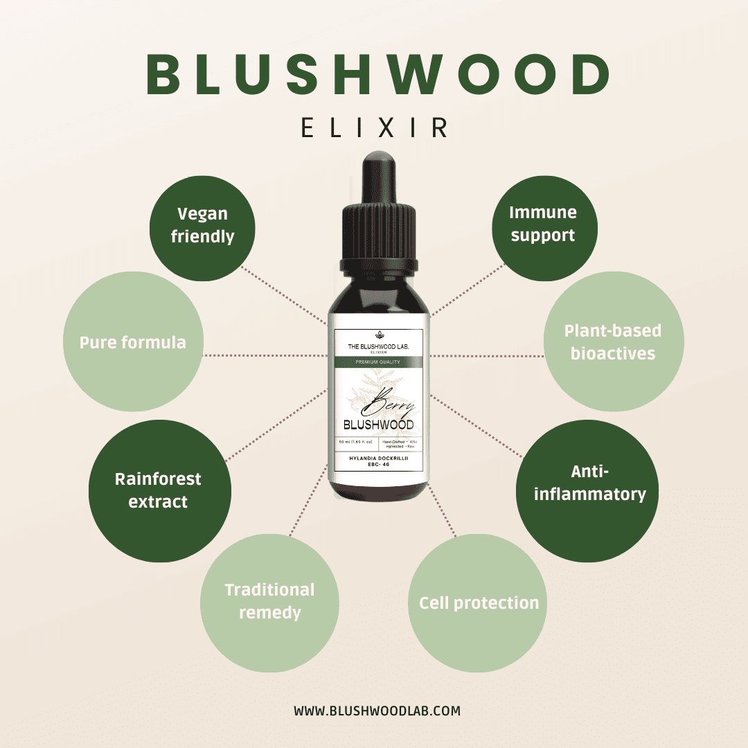 Blushwood Berry Seed Extract - EBC 46 - 2er Pack